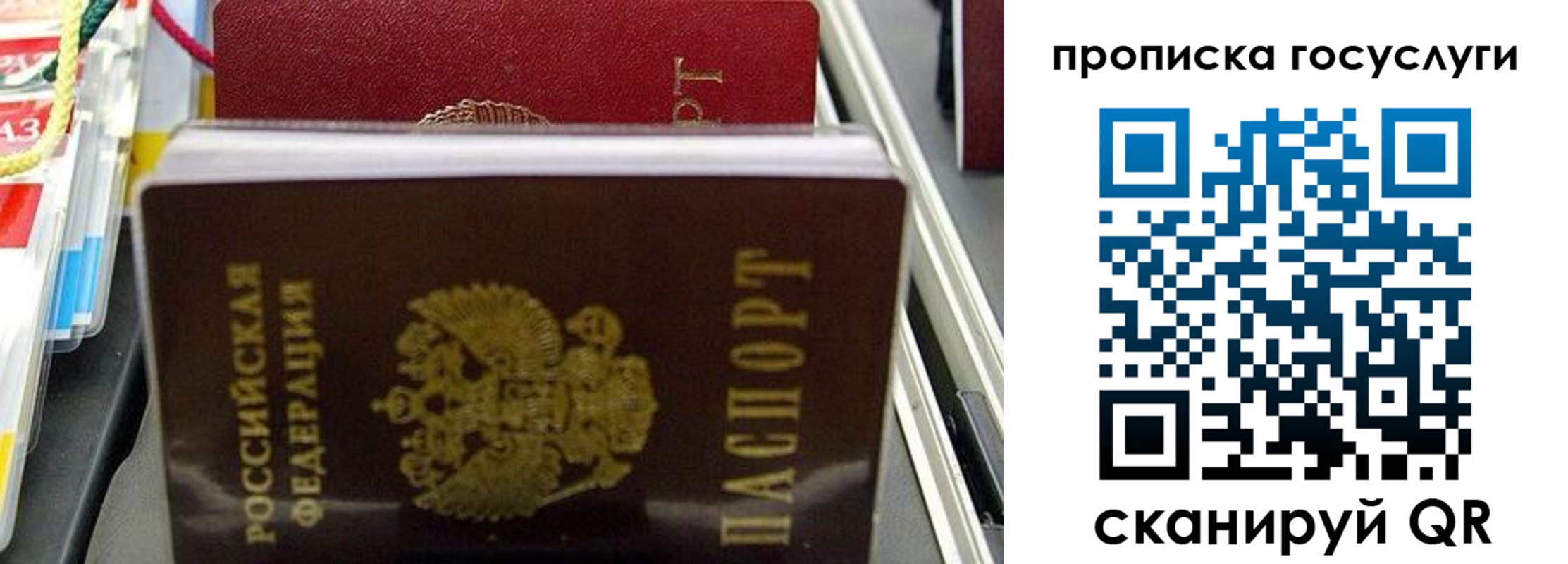 где прописаться в Сланцах